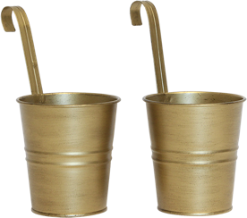 2 Gold metal cups